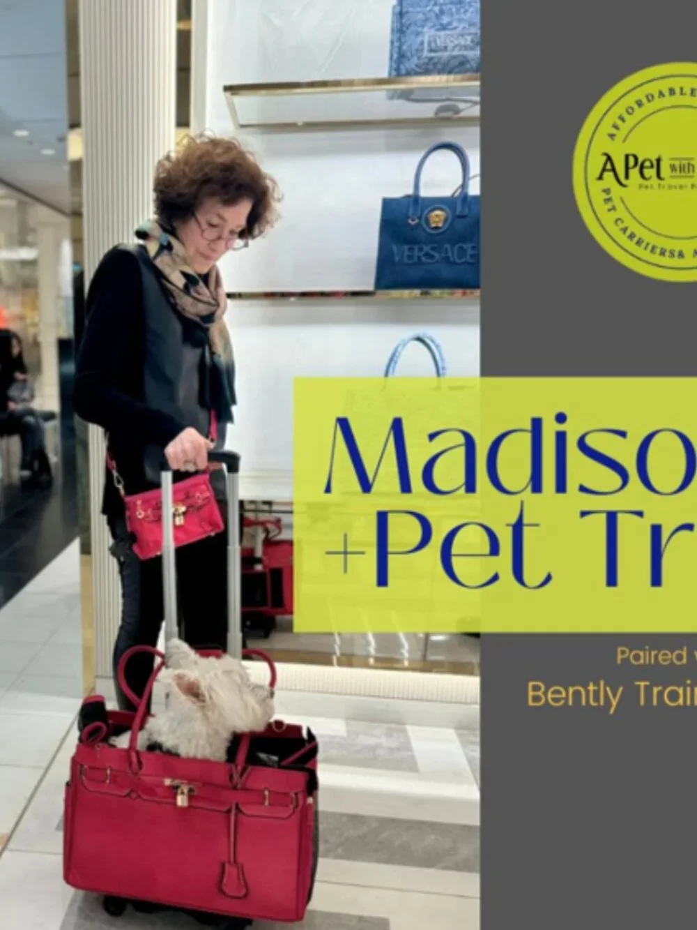 Luxury Airline-Approved Pet Carrier – Like New – Designer Handbag Style